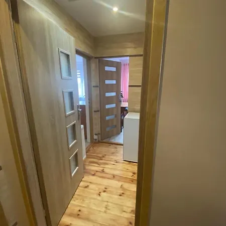 U Basi I Romana ホームステイ *