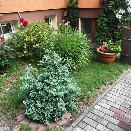 Homestay U Basi I Romana Sztutowo