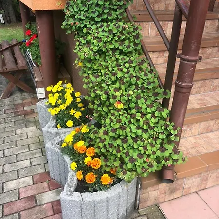 Homestay U Basi I Romana Sztutowo