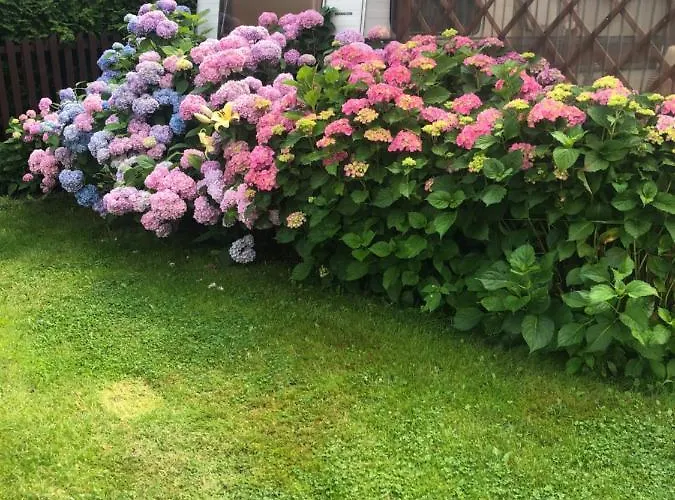 U Basi I Romana Kwatera prywatna Sztutowo