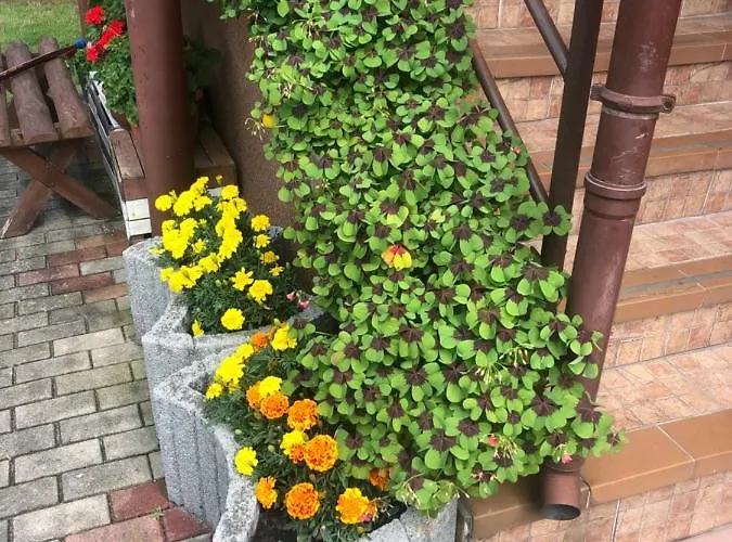 Kwatera prywatna U Basi I Romana Sztutowo